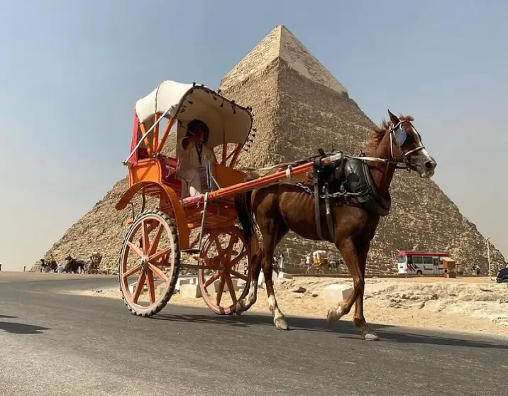BEST  Classic SEVEN DAYS TOURS PACKAGE IN EGYPT